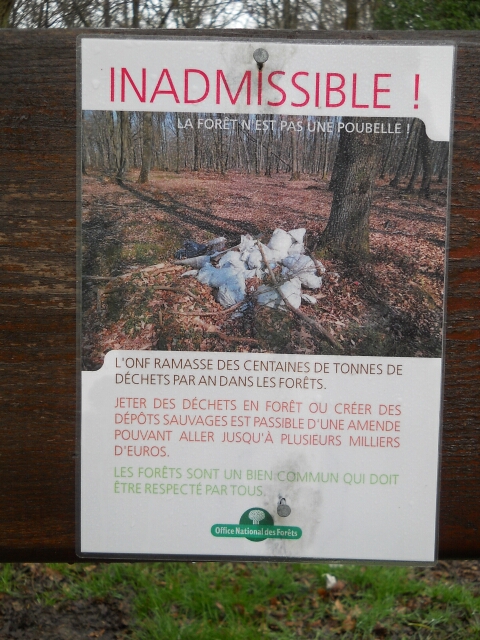 2016-02-20-trappes [02)