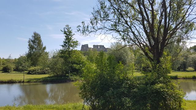2018-05-12 - coucy-chateau-auffrique (46)