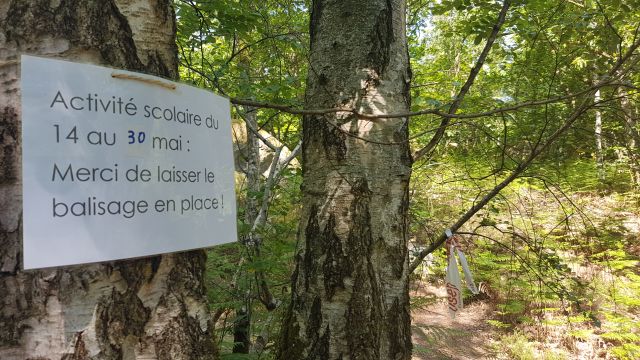 2018-05-21 - bondoufle (28)