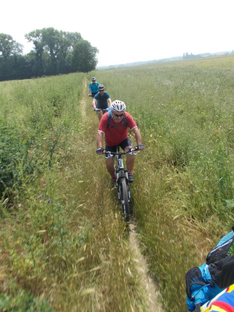 2018-06-09 - vert-le-petit (17)
