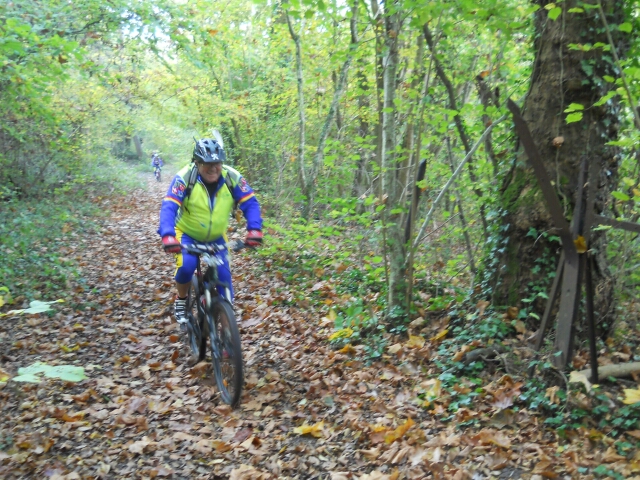 2014-11-02-mondesir (13)