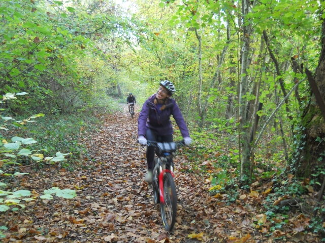 2014-11-02-mondesir (15)