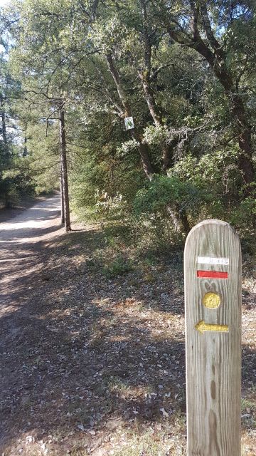 2019-07-13 saint-jean-de-monts (02)