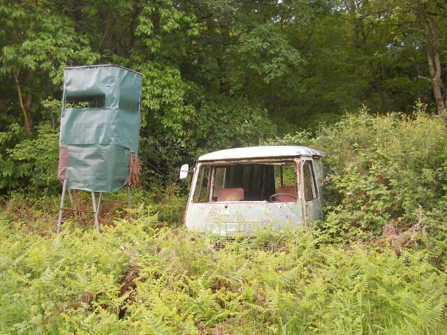 2015-05-15-chatillon-sur-loire (033)