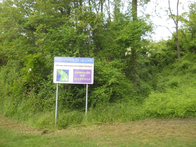 2015-05-15-chatillon-sur-loire (086)