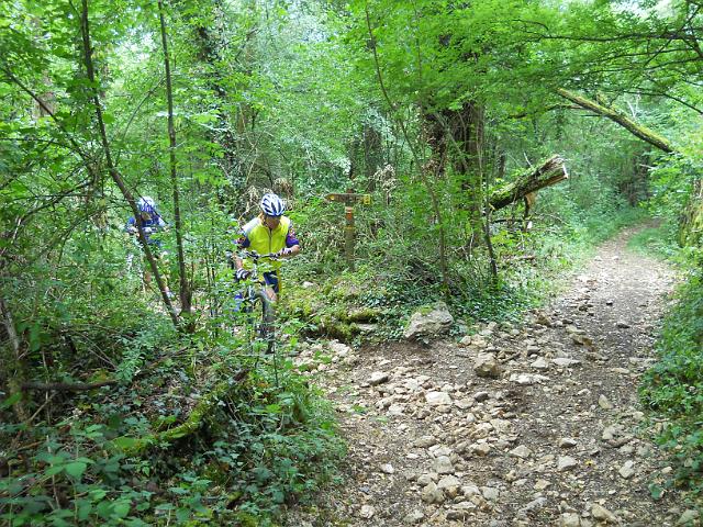 2011-06-02 - serrieres (059)