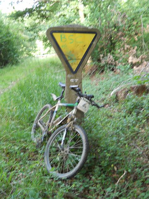 2011-06-19-montgeron (03)