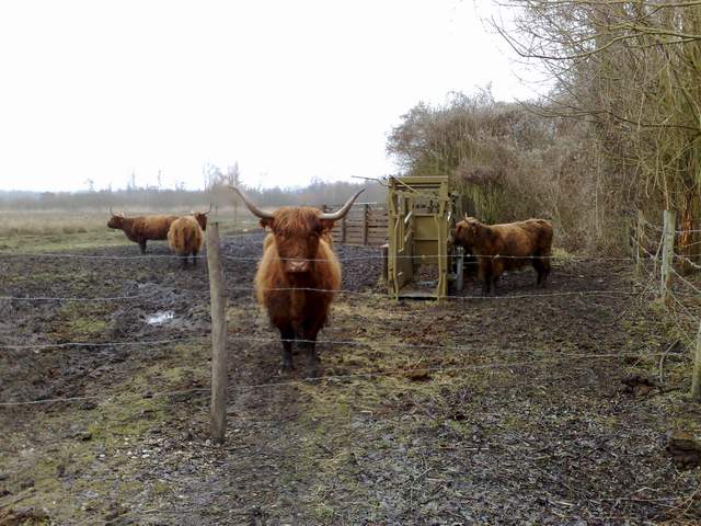 2009-02-09-bondoufle (06)