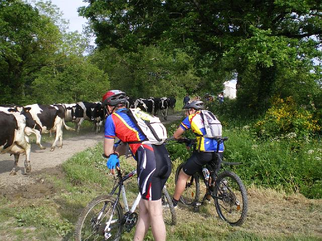 2009-05-21-pornic (036)