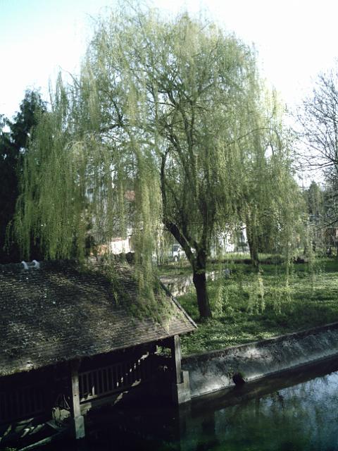 2010-04-11-moisseenne (14)