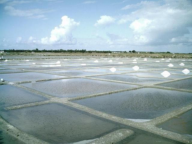2010-07-22-noirmoutier (008)