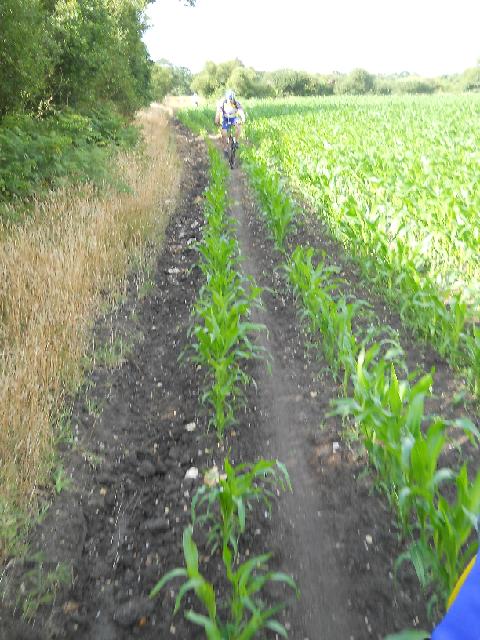 2012-07-14-sallertaine (09)