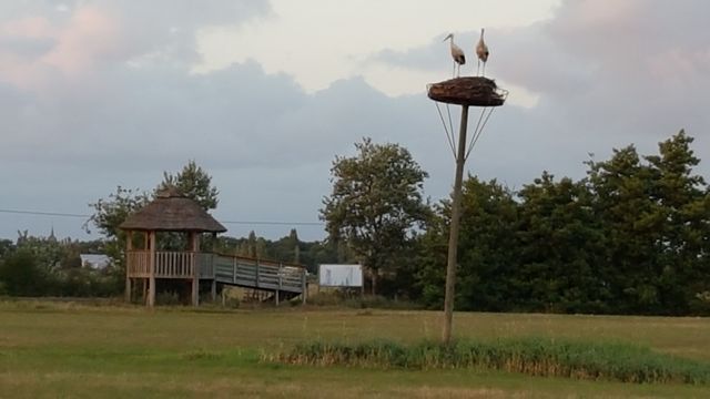 2017-07-22 - bois-de-cene - (27)