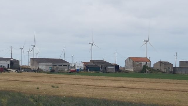 2017-07-27_bouin (12)