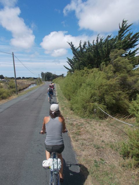 2017-08-02 - la barre-de-monts (14)