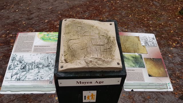 2017-11-19 - oncy-sur-ecole (08)