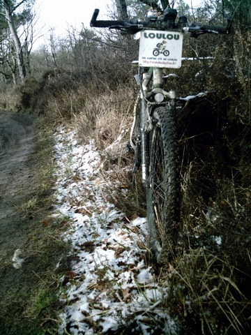 2008-03-24 - maisse (02)