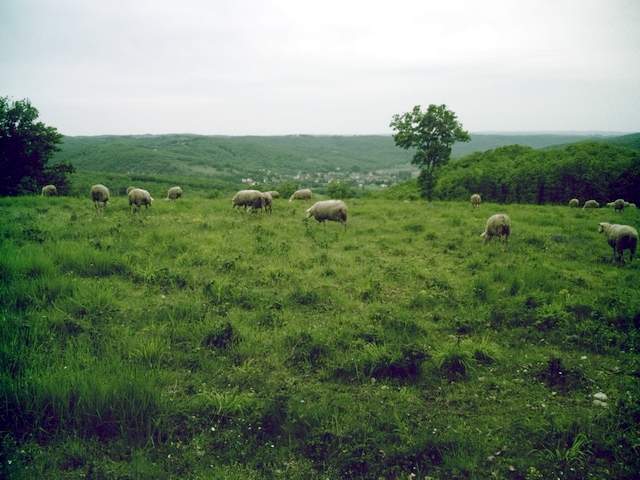 2008-05-10 - gourdon (027)