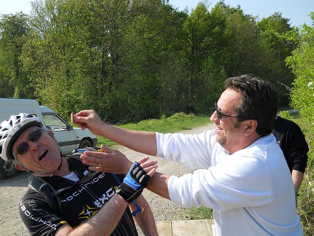 2011-04-17-moisenay (06)