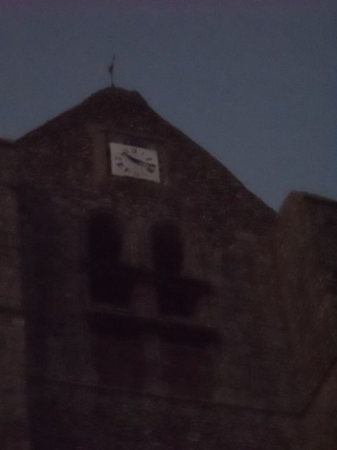 2011-07-02-marche dinatoire (21)