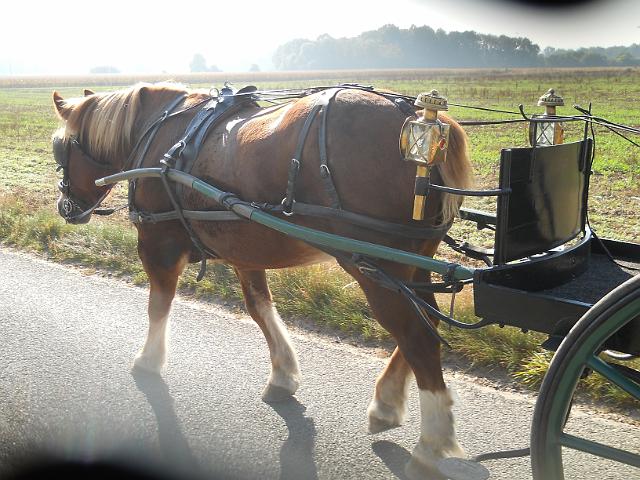 2011-10-02-beauregard (027)