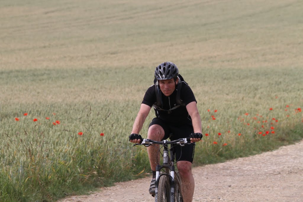 2011-06-05-itteville (01)