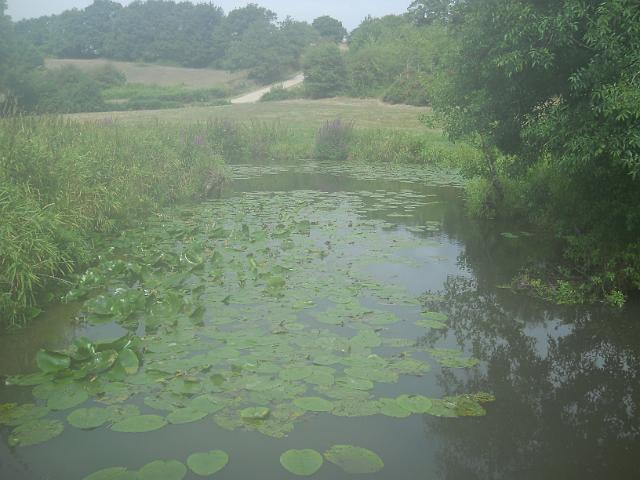 2011-07-17-aizenay (09)