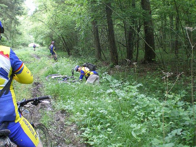 2010-05-14-charette-varenne (025)