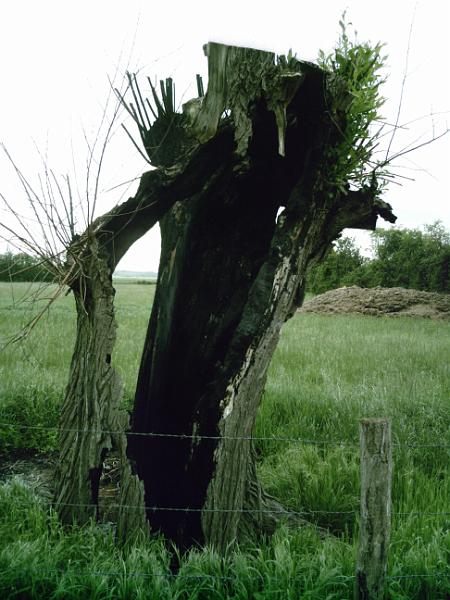 2010-05-14-charette-varenne (030)