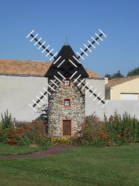 2012-07-28- bois-de-cene (00)