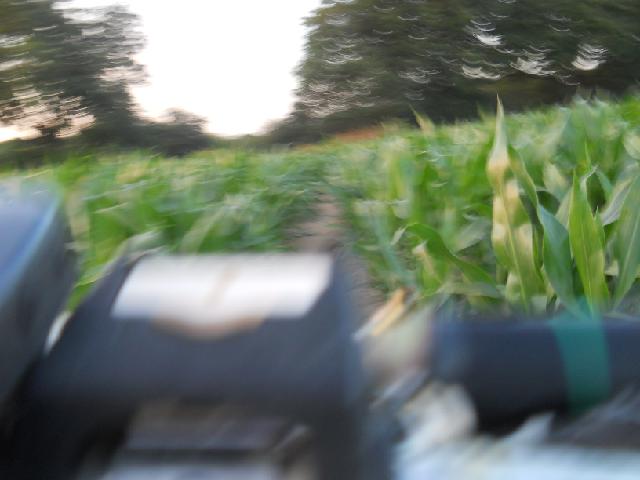 2012-07-28- bois-de-cene (14)