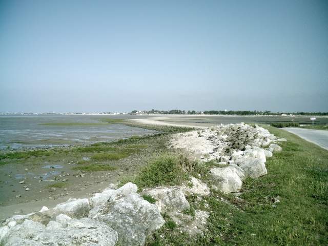 2007-06-11 - club (08)