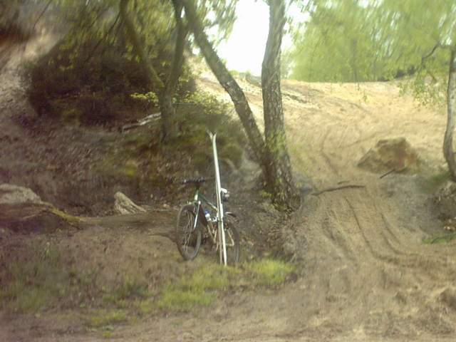 2005-04-24 Linas (04)