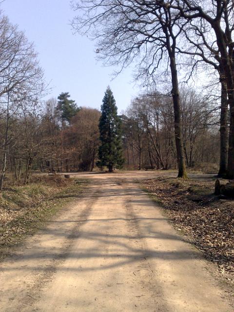 2011-03-26 - senart (01)