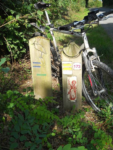 2011-07-26-bois de cene (27)