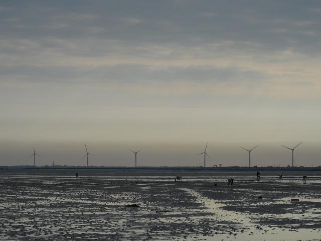 2011-07-28-noirmoutier (12)