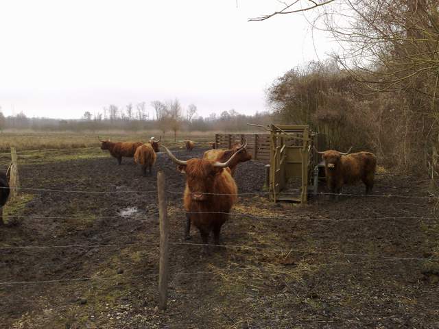 2009-02-09-bondoufle (05)