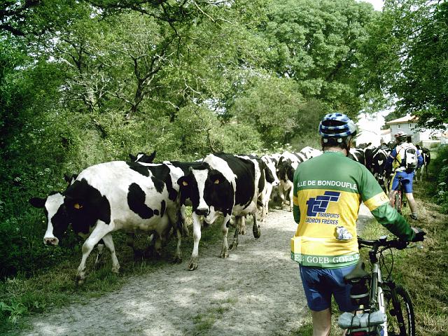 2009-05-21-pornic (039)