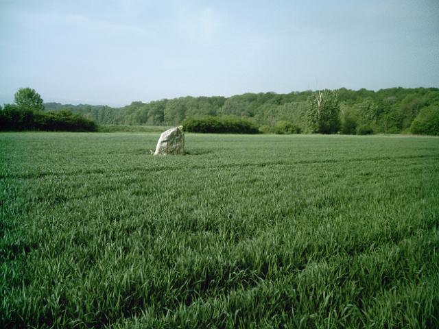 2010-05-09 - mormant (21)