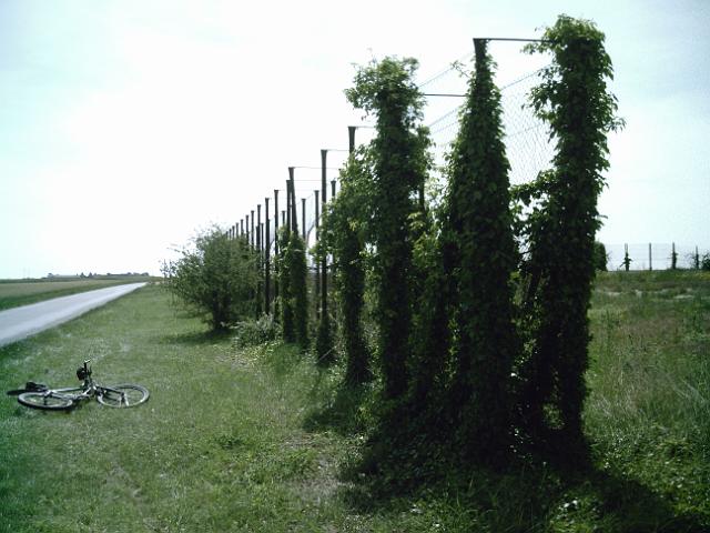 2010-06-25-etampes (11)