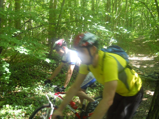 2014-06-13-ollainville (12)