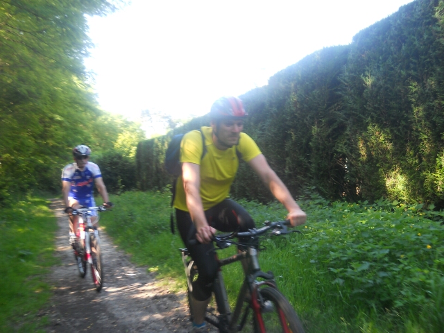 2014-06-13-ollainville (14)