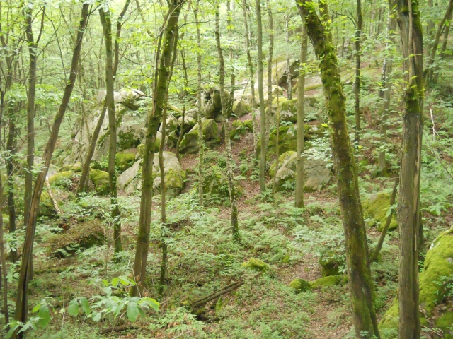 2014-05-25-la norville (15)