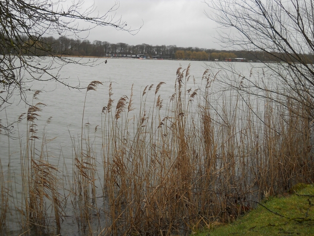 2016-02-20-trappes [18)