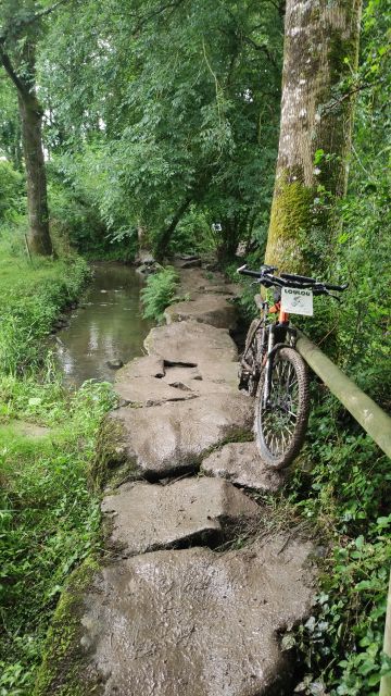 2021-07-04 - grand-landes (28)