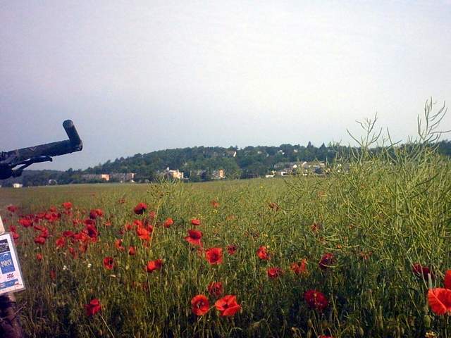 2007-05-13 - mazaryvette (18)