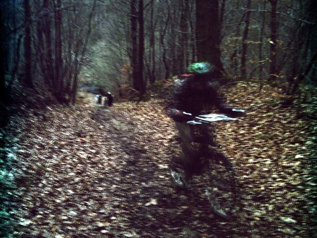 2008-01-13 - versailles (03)