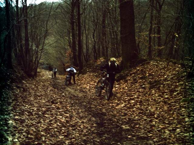 2008-01-13 - versailles (04)
