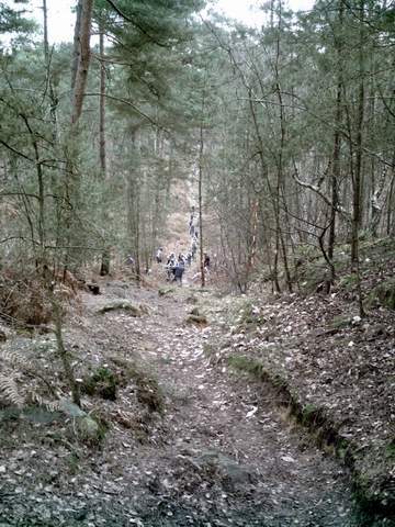 2008-01-20 - dammartin (10)