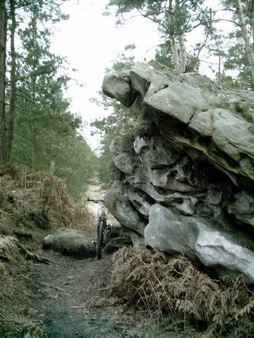 2008-01-20 - dammartin (12)